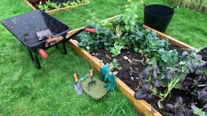 Your views sought on allotments by Scottish Govt committee