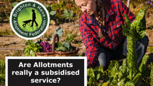 Study finds more than £385K of savings to Council from Allotments